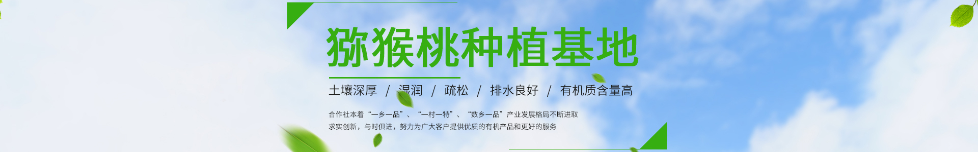 玩加电竞·(中国)官方网站