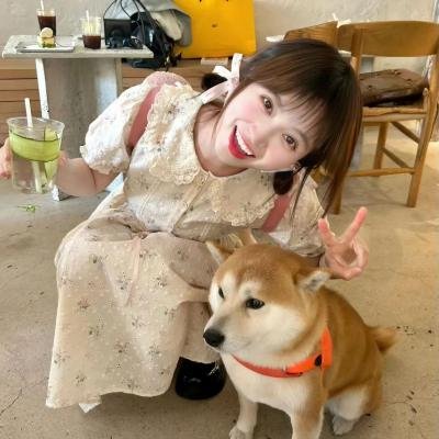 魅力四射2